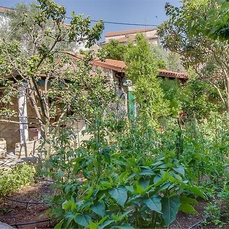 Apartment Julia Veli Lošinj Dış mekan fotoğraf