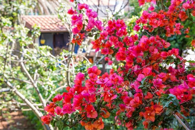 Apartment Julia Veli Lošinj Dış mekan fotoğraf