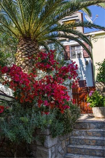 Apartment Julia Veli Lošinj Dış mekan fotoğraf